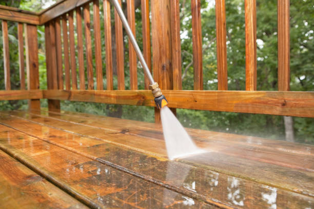 Best Deck Pressure Washing  in Wapello, IA